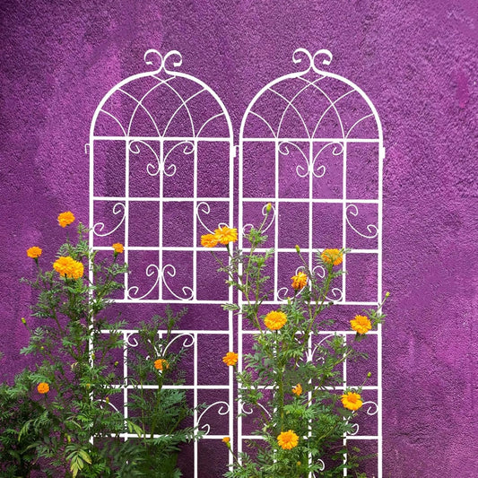 Metal Garden Trellis Rustproof Trellis for Climbing Plants Outdoor Flower Support Butterfly Deco