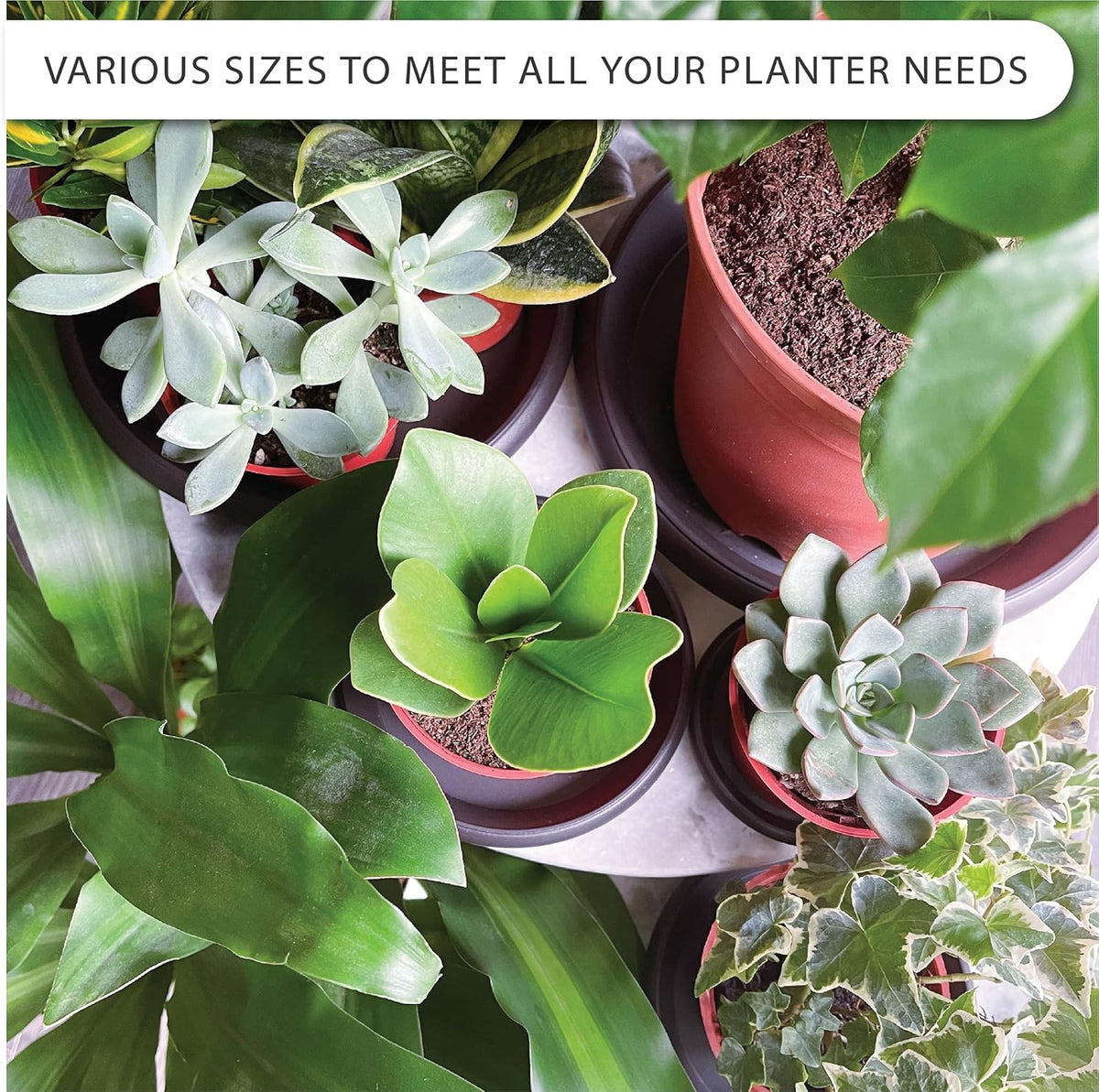 Plant Saucer 6 Pack Drip Trays Planter Pot Base Heavy Duty Plastic Drainage Tray for Indoor