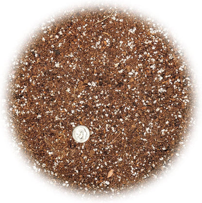 Gardenera Premium Raspberry Potting Soil Mix - Optimal Blend for Thriving and Juicy Berries - 10