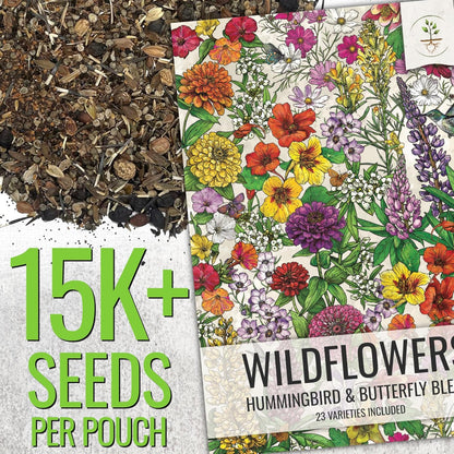 Seed Needs Wildflower Seeds Hummingbird and Butterfly Seed Mix | 10 Packs (1 Ounce Each) No Filler