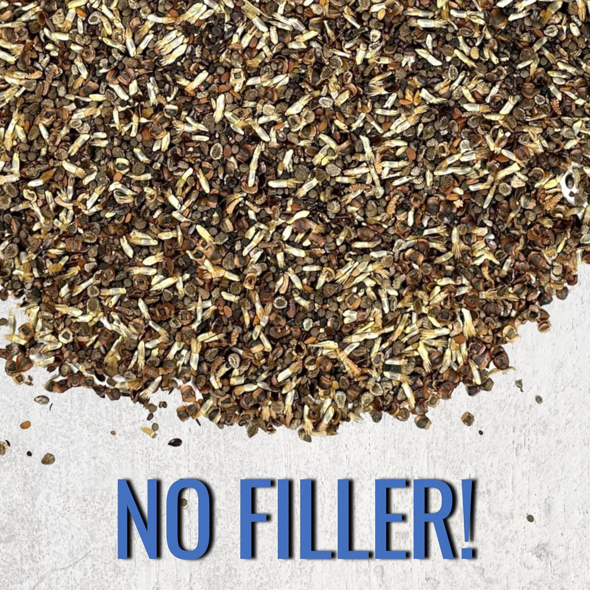 Seed Needs Low Growing Wildflower Flower Seeds for Planting | 2 Packs (1 Ounce Each) Mixture/Blend
