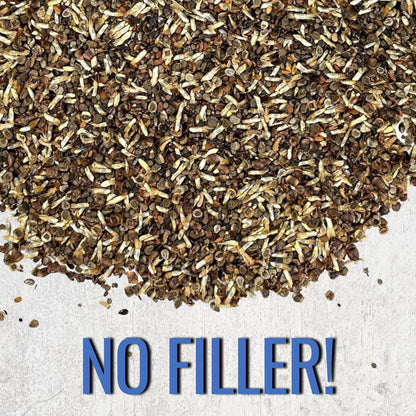 Seed Needs Low Growing Wildflower Flower Seeds for Planting | 2 Packs (1 Ounce Each) Mixture/Blend