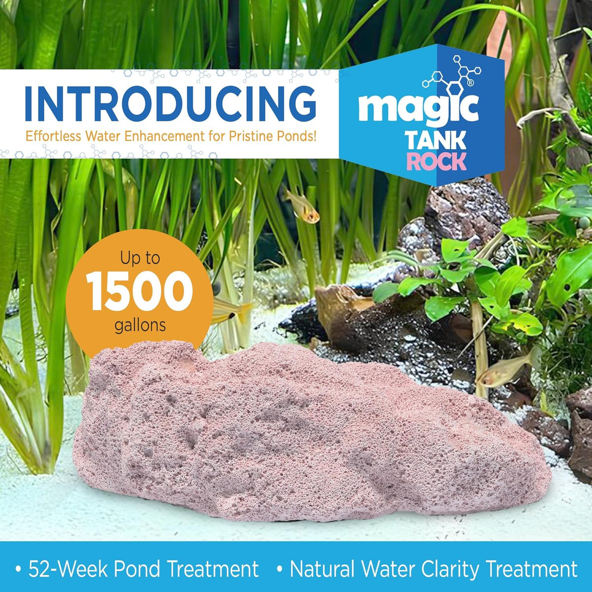 Fish Tank Rocks for Enhancing Water Clarity with Your Regular Cleaning Routine, Fish Friendly