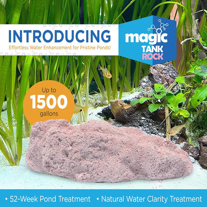 Fish Tank Rocks for Enhancing Water Clarity with Your Regular Cleaning Routine, Fish Friendly