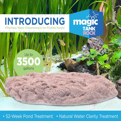 Fish Tank Rocks for Enhancing Water Clarity with Your Regular Cleaning Routine, Fish Friendly
