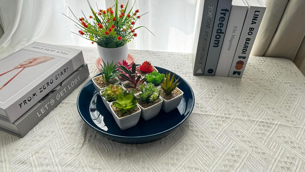 14 Inch Plant Saucer Tray 4 5 6 8 10 12 14 15 Inch Ceramic Plant Saucers for Indoors Outdoor