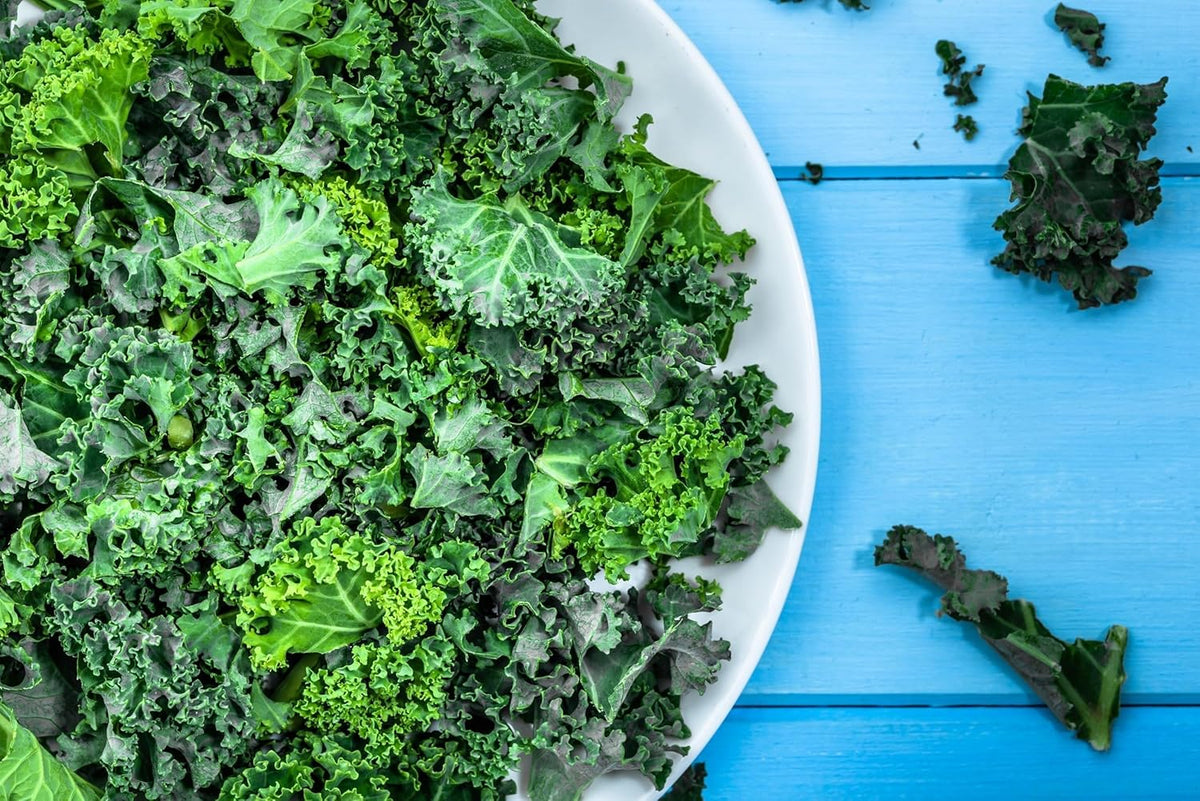 Curled Blue Kale Seeds for Planting – Plant & Grow Heirloom Non-GMO Curled Blue Vates Kale Home