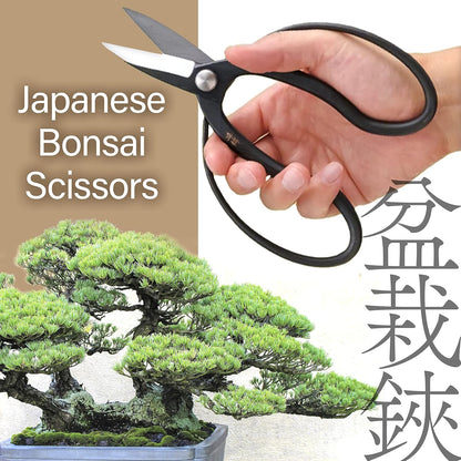 YAMASAN KYOTO UJI Japanese Suiryu Bonsai Scissors - Traditional Hasami Pruning Shears, Japanese