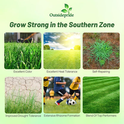 Outsidepride Combat Extreme Southern Zone Grass Seeds for Lawn - 50 lbs. SPF 30 Heat & Drought