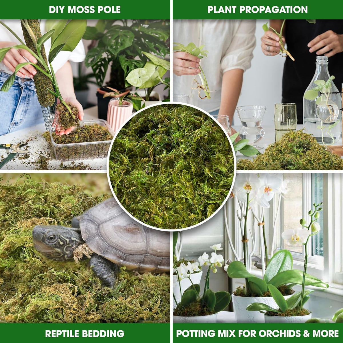 DUSPRO Dried Moss for Potted Plants, Forest Orchid Moss for Potting Mix, Sphagnum Potting Moss for