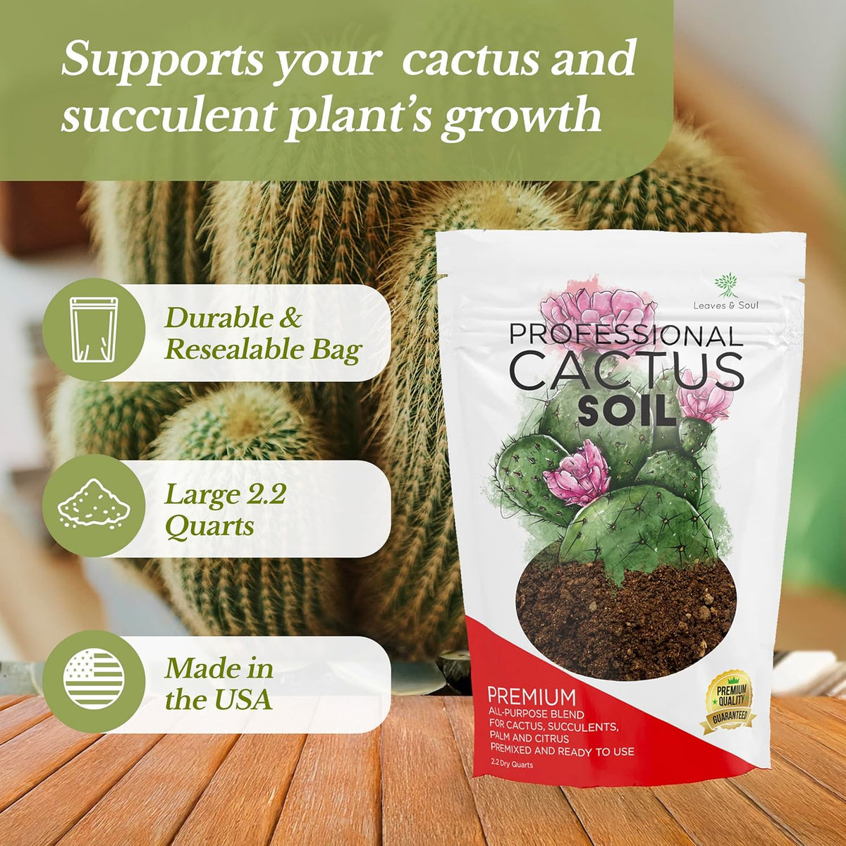 Professional Cactus Soil | Large 2.2 Quarts Ready to Use for Cactus Plants | Peat Moss, Coco Coir