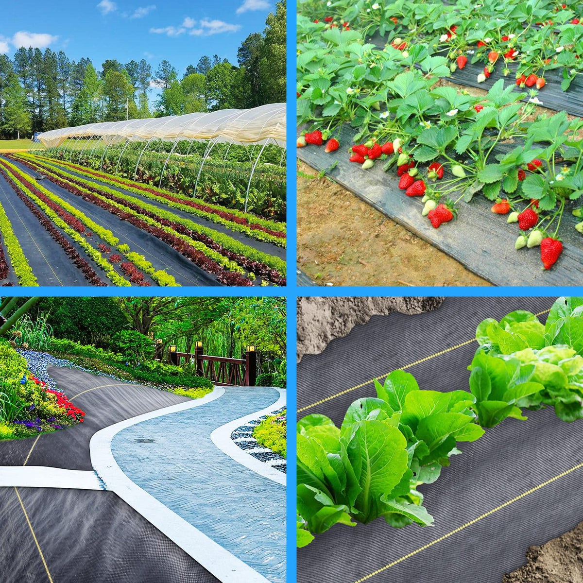Sunocity 6ft x300ft Black Weed Barrier 3.5oz Landscape Premium Fabric-Heavy Duty Woven Ground Cloth