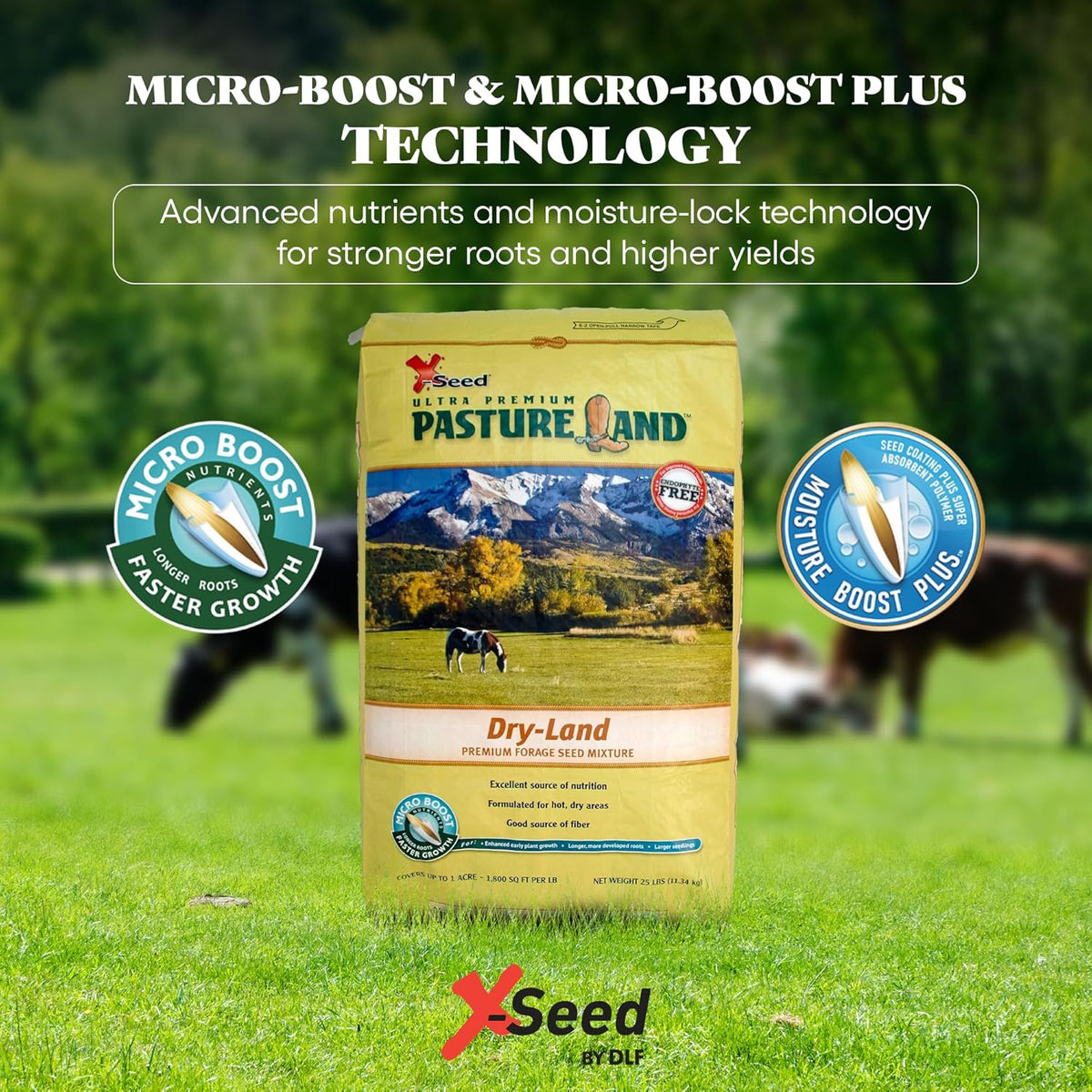 X-Seed Pasture Land Dry-Land Forage Seed Mixture with Micro-Boost – Tall Fescue Orchard Grass