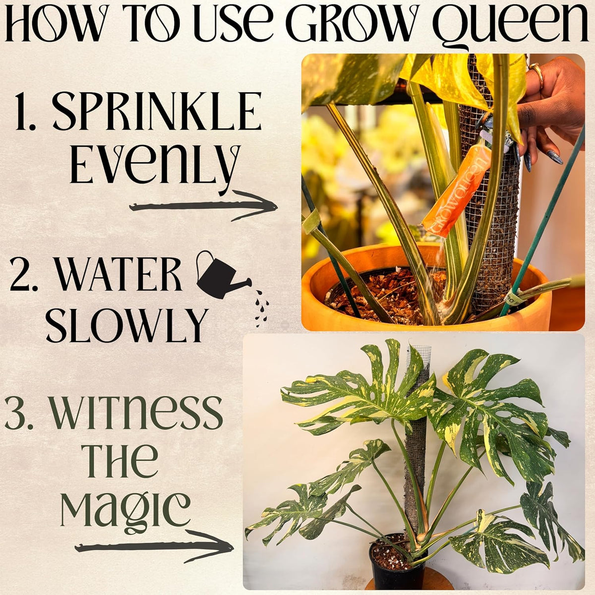 All-in-One Complete Organic Plant Food, Indoor Plant Fertilizer, for Houseplants, Organic