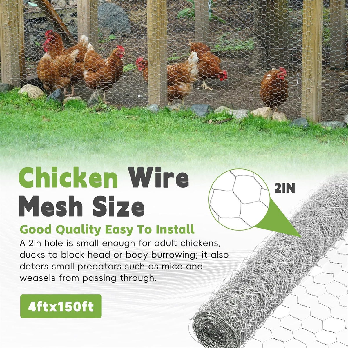 HOSTIC 4FTx150FT Chicken Wire Netting 2IN Mesh Galvanized Wire Hexagonal Fencing for Poultry Garden