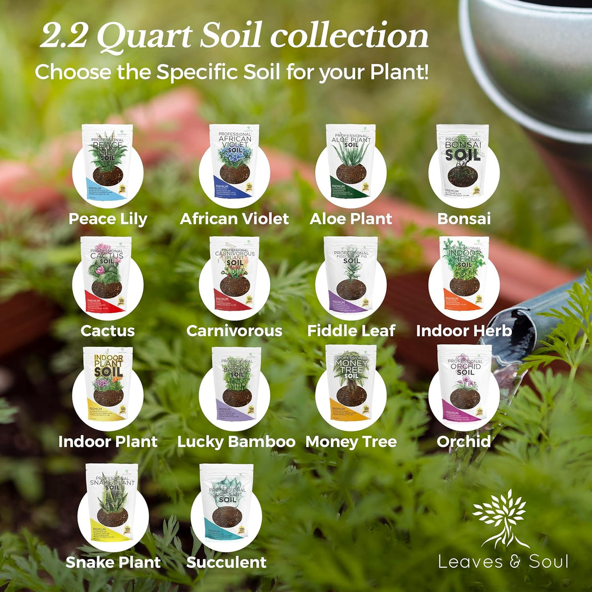 Indoor Plant Soil Premium All Purpose Blend | Large 2.2 Quarts | Ready to Use for Indoor Container