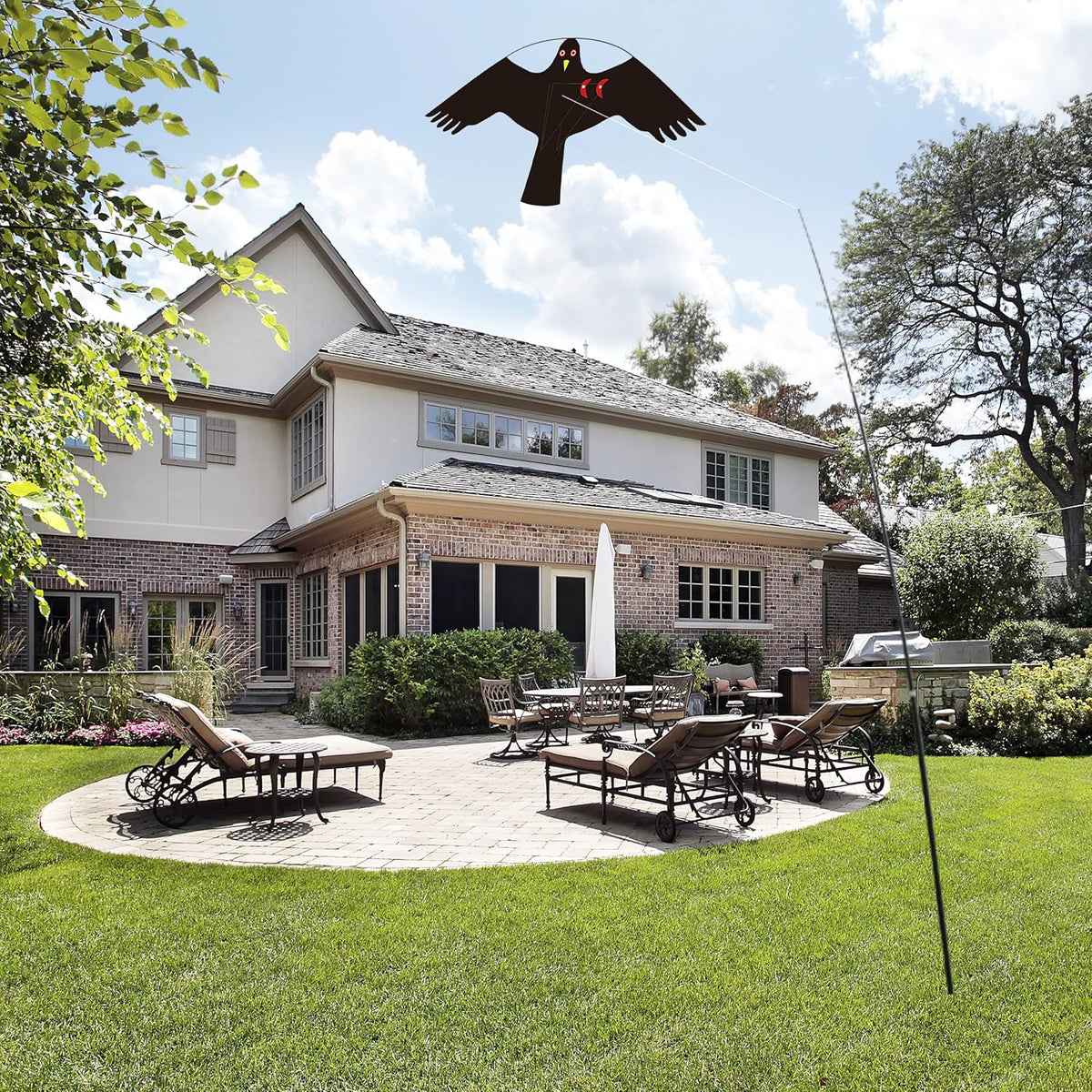 Bird Hawk Flying Kite Without Pole for Crops Farm Protector Bird Scarer Flying Kites - Style C Kite