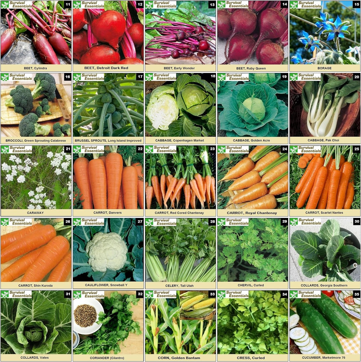 Heirloom Seeds for Planting Vegetables and Fruits - Survival Essentials 135 Variety Seed Vault