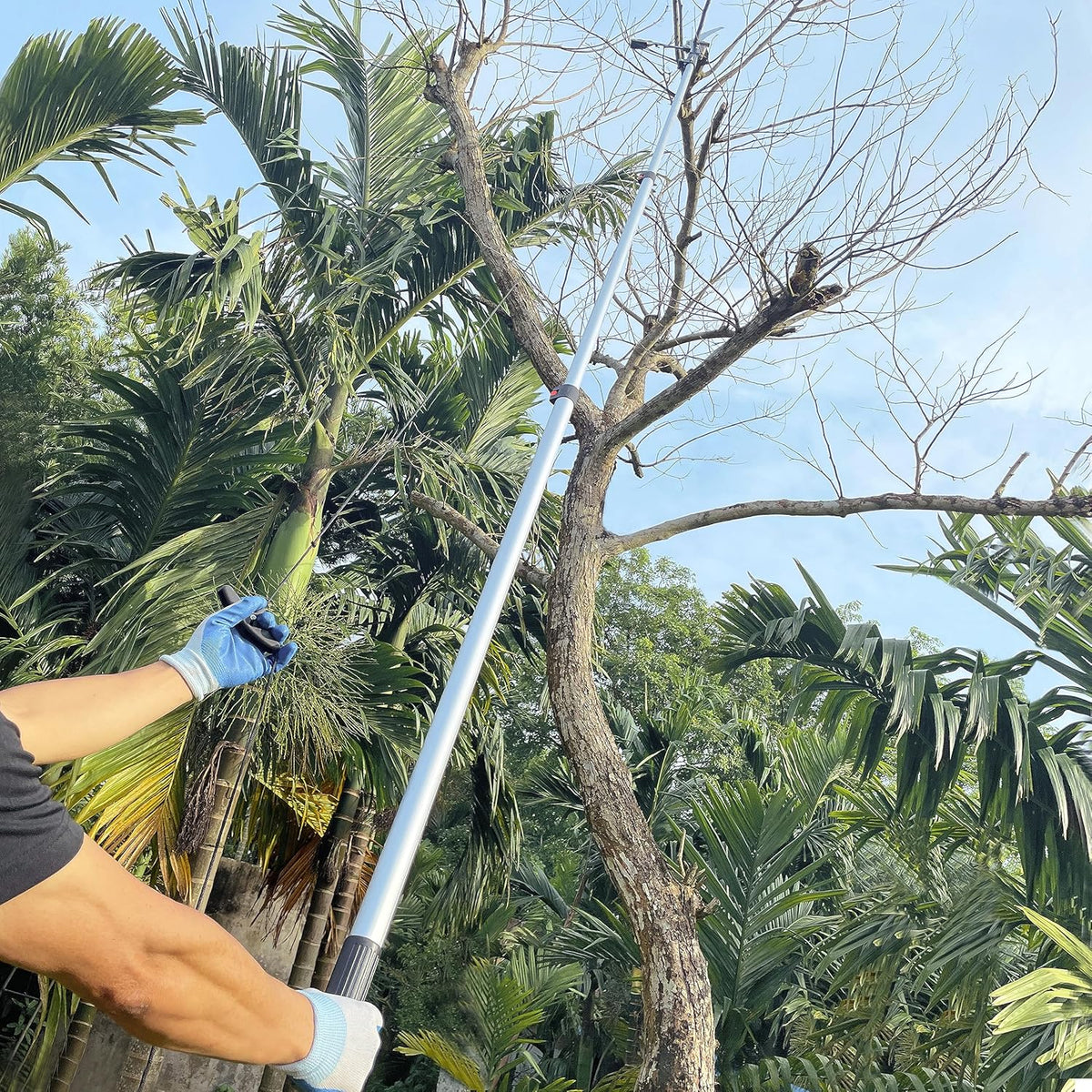 5-13FT Tree Trimmer Telescopic, Pole Saw & Pruner for Trimming, Pruning Saw Extendable, Long Handle