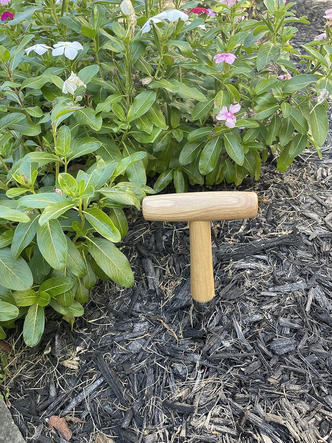 Garden Guru Steel Dibber Bulb Planter Tool for Planting Seeds & Bulbs - Depth Measurements, High