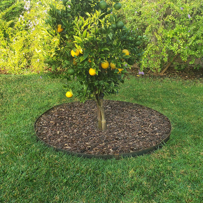 Circular Tree Ring Edging Kit - COR-Ten Steel - Landscape Edging