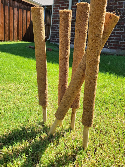 Pack of 6 Coco Coir Pole- Plants Monstera 24" Sized Poles for Climbing Plants, Plant Support Stakes