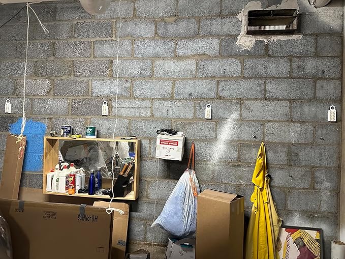 Strip Clip for Fruit Fly BarPro - Applied to Walls, Under Counters, and Garbage Container Lids (10